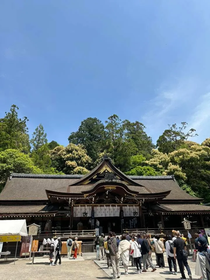 昨日の雨と暴風を避けて、本日２日のお詣りとさせていただきまし...